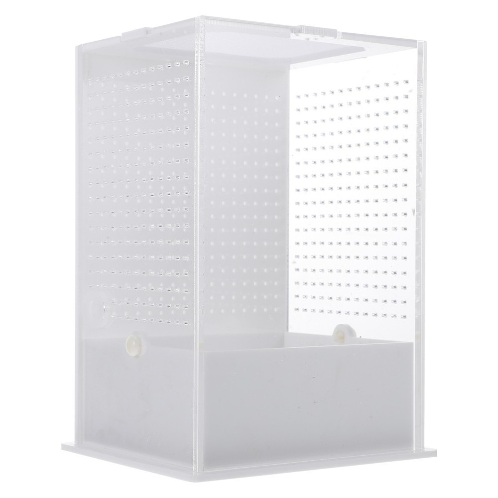 1Pcs Reusable Acrylic Observation Box White for Mantis Feeding