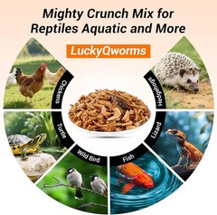 1LB Mix Aquatic Turtle Food High Protein Dried Mealworms,River Shrimp,Crickets