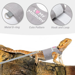 Bearded Dragon Harness and Leash Set – Cute Lizard Reptile Small Animal Adjustab