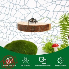 Catcan Jumping Spider Accessories Kit, Complete Terrarium Decoration Set with…