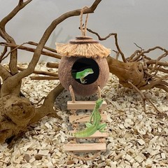 MUYG Gecko Coconut Hideout with Ladder,Reptile Hammock Plants Vines Brown
