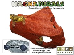 Magnatural Magnatural Medium Hideaway Mojave PT-1454 Crested Gecko Reptile Li…