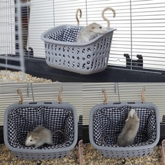 JWShang Rat Hammock for Cage, Chew Proof Hanging Basket Bed with Sturdy Hooks…