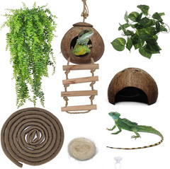 6PCS Lizard Habitat Decor,Leopard Gecko Hideout Coconut Shell Hole Hut,Bearded D