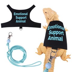 Adjustable Bearded Dragon Harness and Leash Set for Outdoor Training