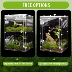 Acrylic Jumping Spider Enclosure with Removable Divider – 12″*8″*8″ Large Reptil