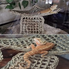 Hammock for Bearded Dragons,Lizard Lounger Reptile Natural Seagrass Habitat D…