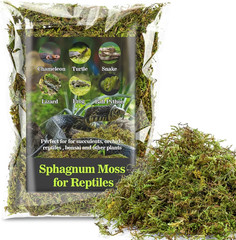 Sukh Sphagnum Moss for Reptiles – Terrarium Reptiles Moss Green Dried Peat Moss