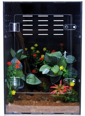 Reptile Enclosure for Crested Gecko – 12x12x18 Acrylic 12″12″18″, Clear