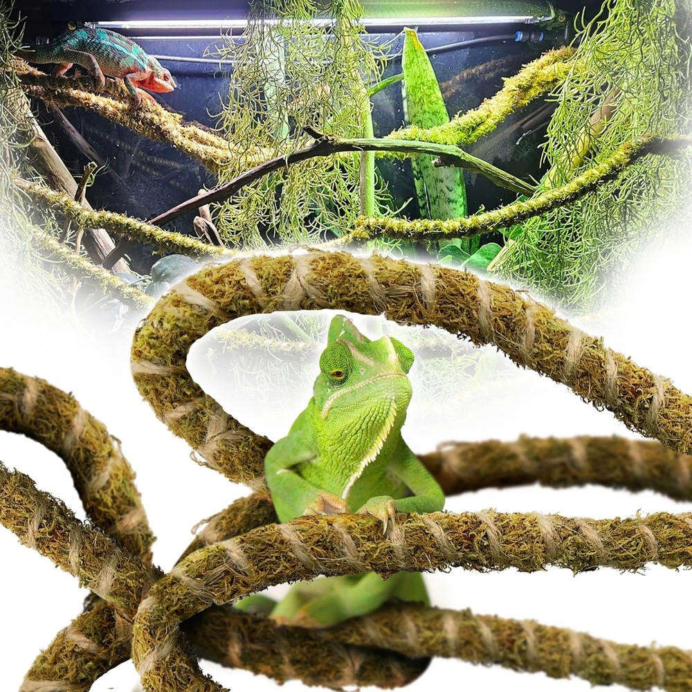 10FT Reptile Vines for Climbing Bendable Branch for Reptile Natural Moss Rope