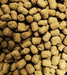 Tortoise Iguana Reptile Food DIET FRESH from bulk Choose Size!!!