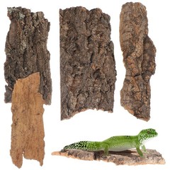 4Pcs Reptile Bark Climbing Platforms Natural Tree Bark Pet Terrarium Decor