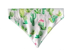 Succulents Over Collar Dog Bandana Slips On Existing Neck Size XSmall