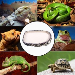 Reptile Water Bowl Feeding Dish for Bearded Dragon Turtle Snake Lizard