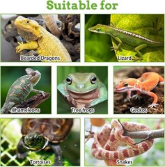 Flexible Jungle Climber Vines and Hammock for Bearded Dragons and Other Reptiles