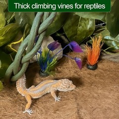 Reptile Vines,Flexible Reptile Climbing Jungle Vine Branch,Snake Climb