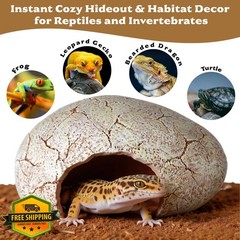 Dinosaur Egg Reptile Hide – Resin Cave for Leopard Gecko, Bearded Dragon and …