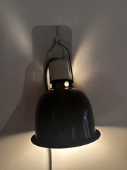 Warming Lamp for Reptiles Pet Heating Light
