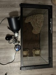 10gallon ReptileCage with light 2lightbulbs,the mat,the home,food and water bowl