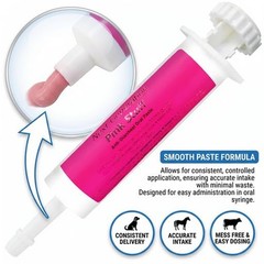 Next Generation Pink Stuff Paste Dosing Tube for Pets, 80ml