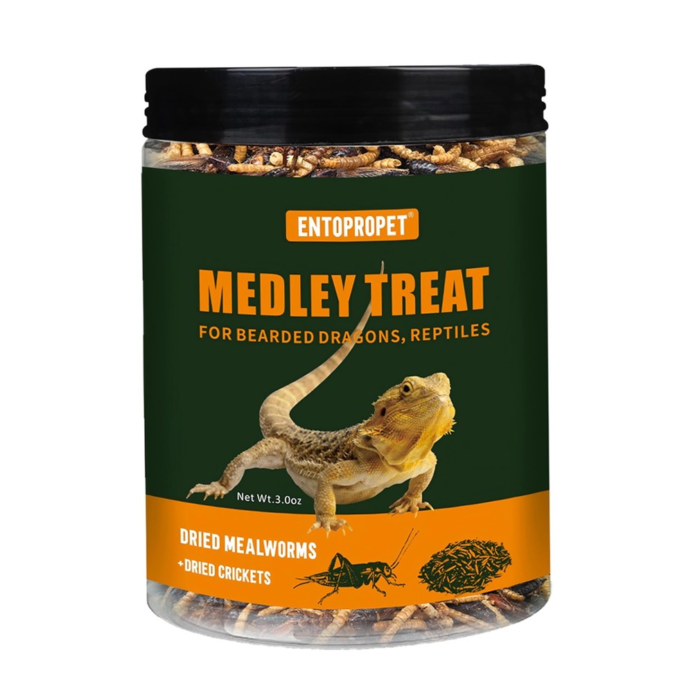 Dried Mealworms and Dried Crickets – Higher in Calcium and Richer in Protein-…