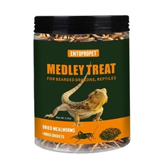 Dried Mealworms and Dried Crickets – Higher in Calcium and Richer in Protein-…