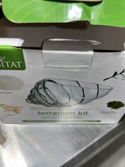 Habitat Terrarium Kit with Sand, Sea Shells, and Succulents