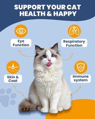 L-Lysine for Cats – Lysine – Immune System, Normal Eye Function and…