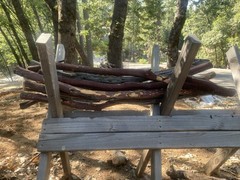 Set of 6 Large All-Natural Manzanita Branches appox 35”- 40” L x 1”- 2” W