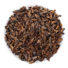 1 lb Dried Crickets Natural Insect Food for Reptiles Birds Chicken Fish Hamsters