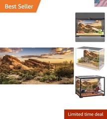 Reptile Habitat Background Blue Sky Oasis Cactus Sun and Desert Terrarium Bac…