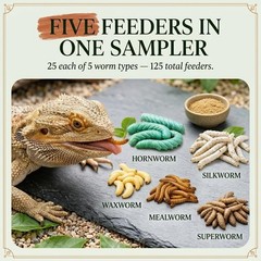 TC INSECTS Super Wormy Sampler 5 Types of Worms 125ct Live Feeders for Reptiles