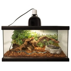 Cama De Abeto Con Corteza De Reptil, 8 Cuartos