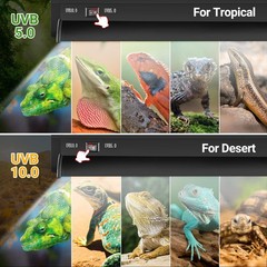 Switchable UVB Light for Reptiles, 24W T5 UVB Light Combo Kit for Tropical & …