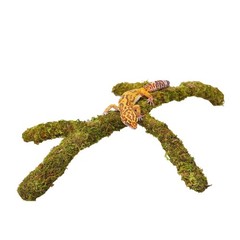 Leopard Gecko Tank Accessory Adjustable Climbing Toy Terrarium Habitat Decor