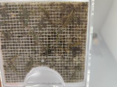 Zilla Micro Habitat Terrarium, Arboreal, with Locking Latch