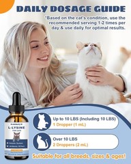 SANTKOL L-Lysine Supplement for Cats – Immune Support – 60ML Lysine 60 ML