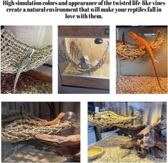 Durable Bearded Dragon Hammock with Suction Cups & Jungle Vines for Reptiles