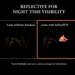 Bandana for Dogs. Blaze Orange Scarf with Reflective Collar is a Perfect Pet …