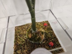 Zilla Micro Habitat Terrarium, Arboreal, with Locking Latch