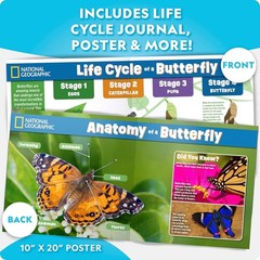 National Geographic Ultimate Butterfly Growing Kit Habitat for 5 Caterpillars