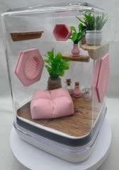 Pink Paradise Jumping Spider Terrarium with Customizable Enclosure Accessories