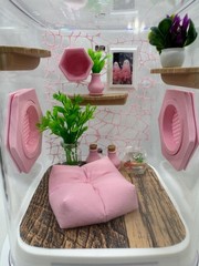 Jumping Spider Terrarium – Customizable Pink Paradise Enclosure