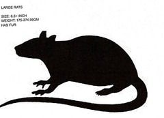 Large Frozen Rats