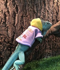 Lizard Clothes Bearded Dragon Hoodie Cotton Reptile Apparel Skin Protection