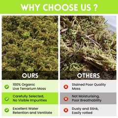 21 OZ Premium Sphagnum Moss for Reptiles- 50QT Natural Live Moss Reptile Moss…