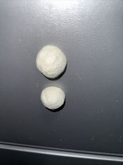 PURPLE reptile magnetic mushroom feeder Ledge With Beer Savers Pack Of 48