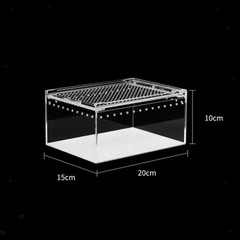 Reptile Feeding Box Reptile Terrarium Breathable Professional Transparent