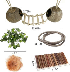 10PCS Crested Gecko Tank Accessories Set – Natural Double Coconut Shell