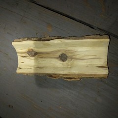 Natural Log Reptile Hide Cave House 7″-8″ Long 3″-4″ Wide 3″ Tall
